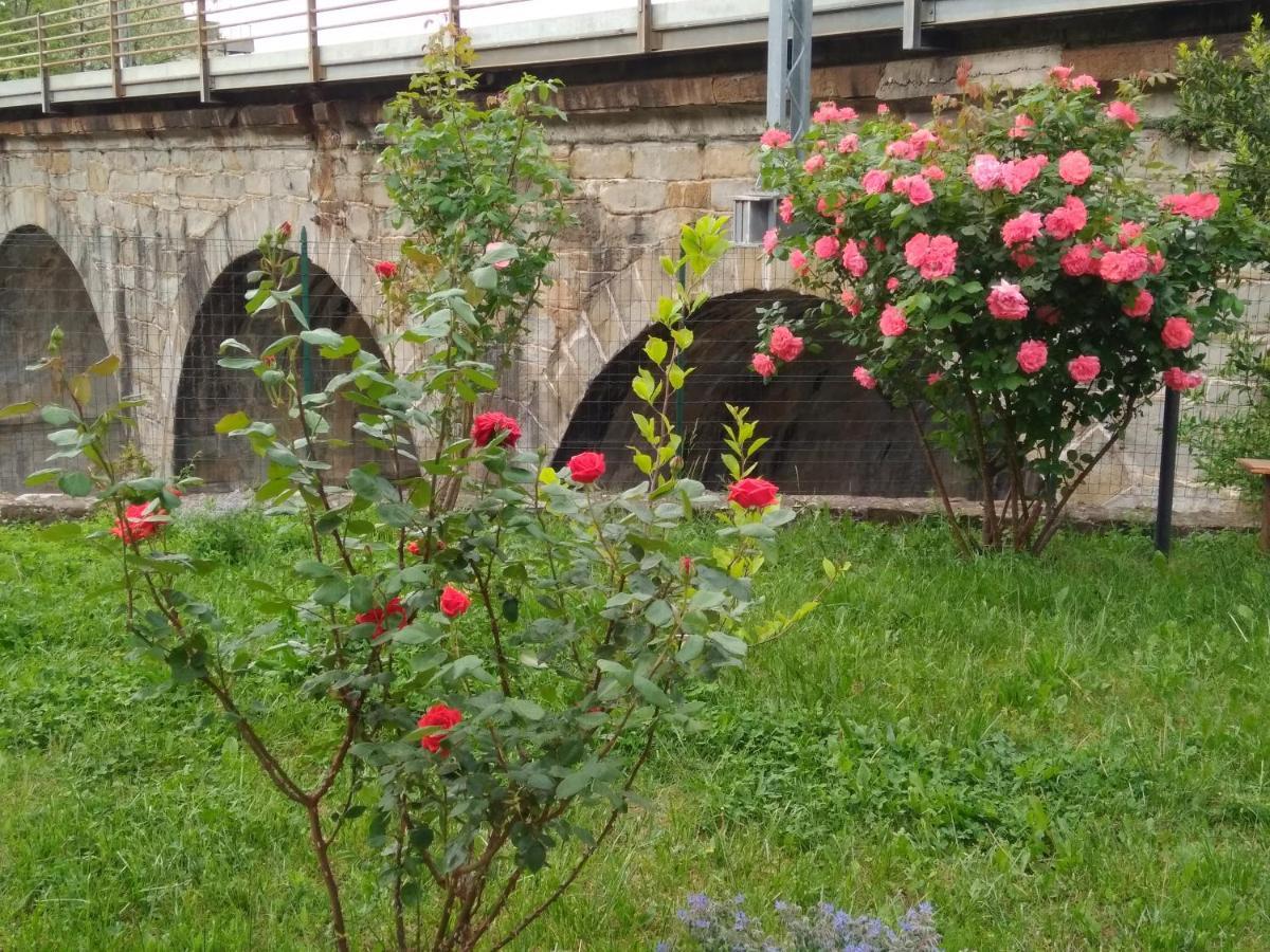 Alle Rose Barcolane Trieste Exteriör bild